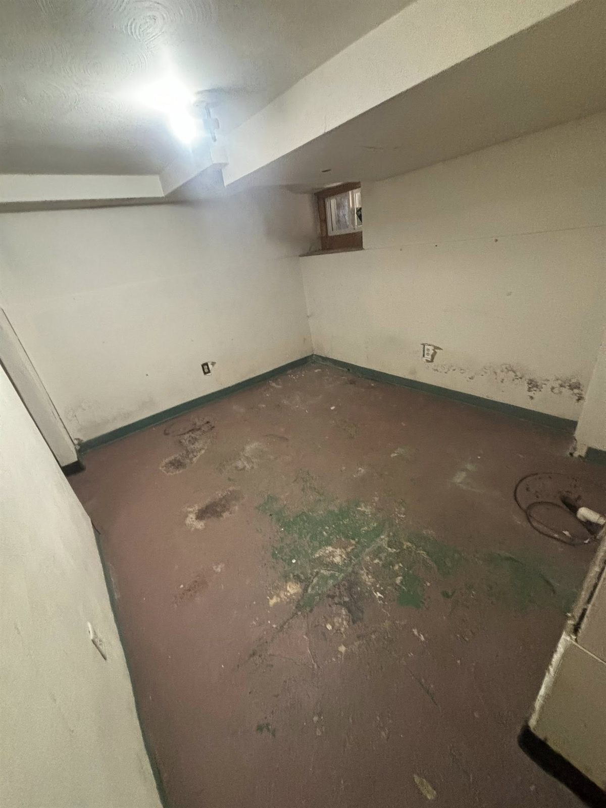 Full property cleanout — debris removed and space cleared